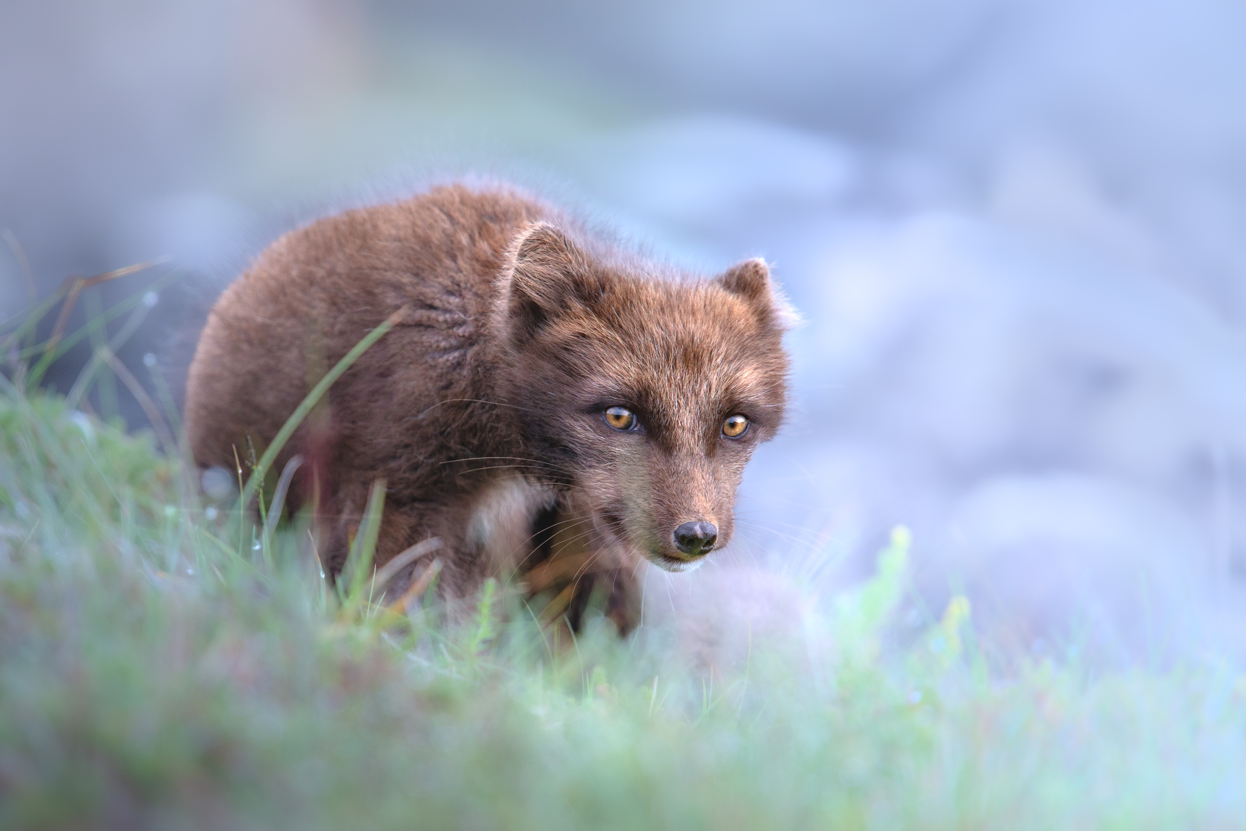 regard entre peur et curiosité