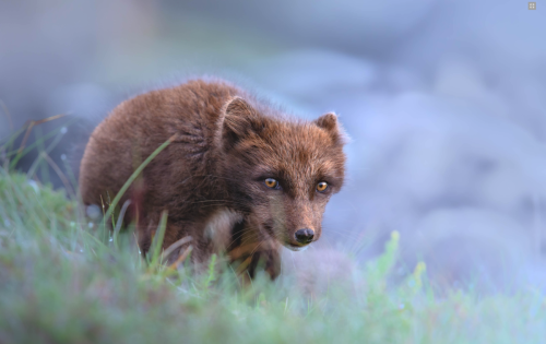 Capture d’écran 2023-05-31 à 08.27.24