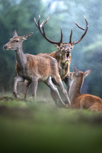 de mauvaises conditions peuvent être les plus belles