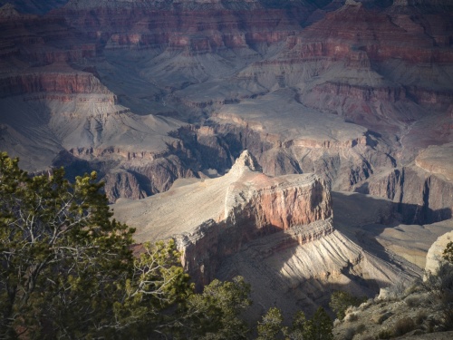 Stage photo Daune J-M