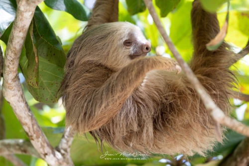 Le bien heureux n°2