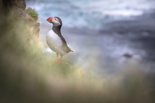 Jean-Michel_Daune-214