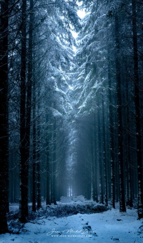 jean-micheldaune-15-2